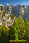 Slovenia, Triglav National Park. Landscape with forest and Julian Alps. Art Print